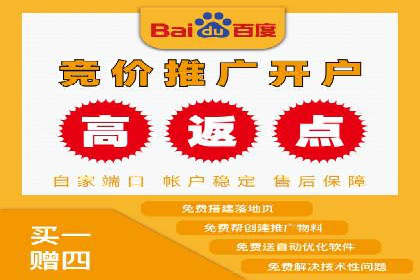 某公司SEO与SEM整合营销的全程记录